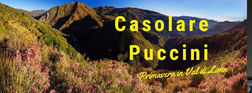 Casolare Puccini Apartment Bagni di Lucca Exterior foto