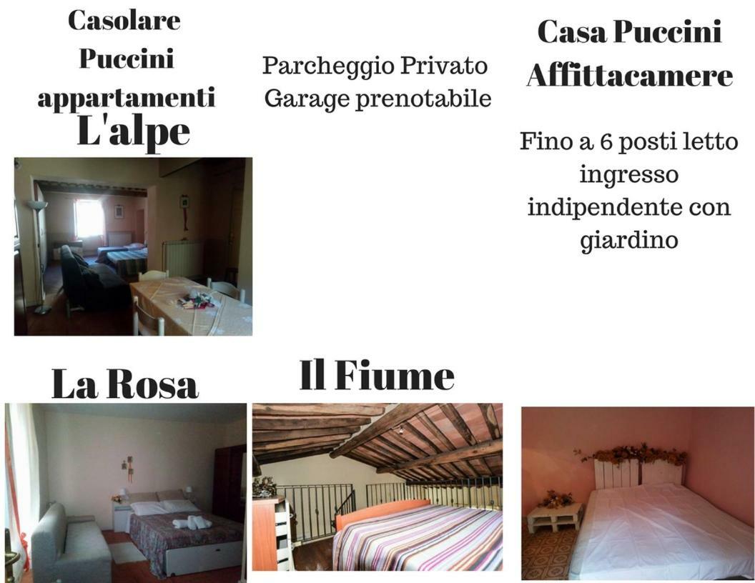 Casolare Puccini Apartment Bagni di Lucca Exterior foto